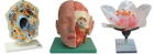 Didactic Material
