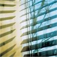 Internel Venation Blinds